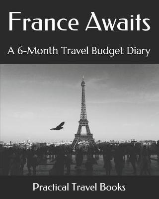 Book cover for France Awaits