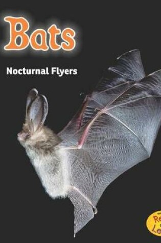 Cover of Bats: Nocturnal Flyers (Night Safari)