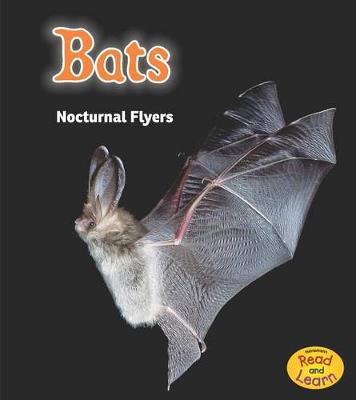 Book cover for Bats: Nocturnal Flyers (Night Safari)