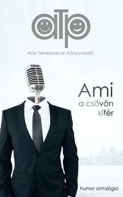 Book cover for Ami a csövön kifér