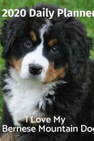 Cover of I Love My Bernese Mountain Dog