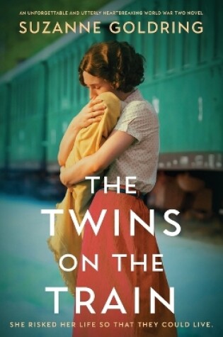 Cover of The Twins on the Train