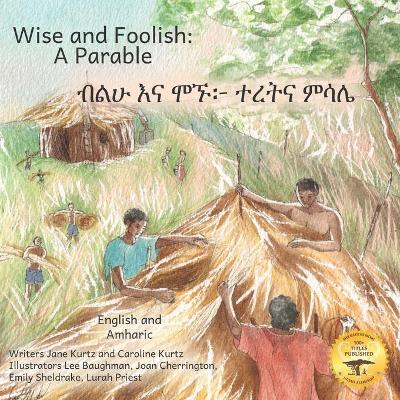 Book cover for Wise and Foolish
