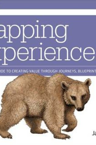 Cover of Mapping Experiences