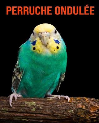 Book cover for Perruche Ondulée