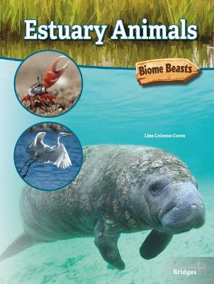 Book cover for Estuary Animals