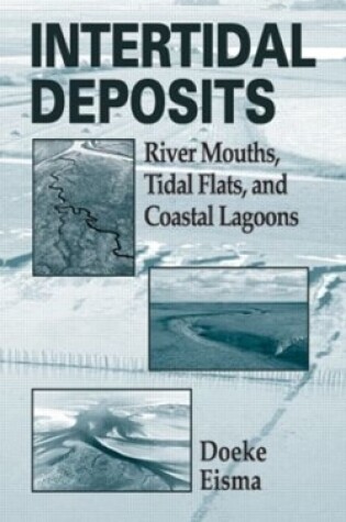 Cover of Intertidal Deposits