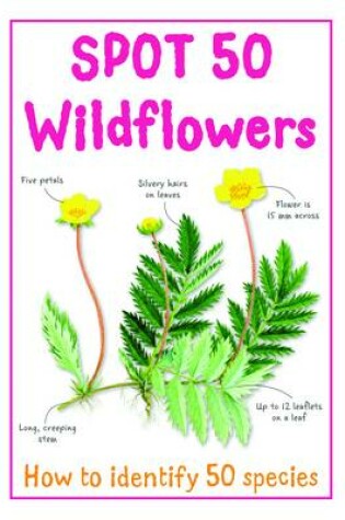 Cover of Spot 50 Wild Flowers