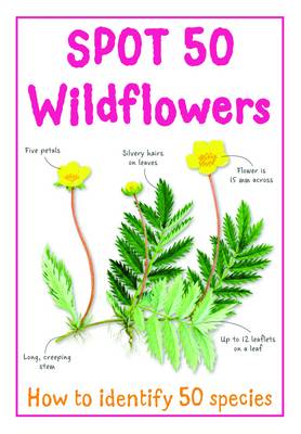 Book cover for Spot 50 Wild Flowers