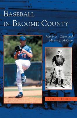 Book cover for Baseball in Broome County