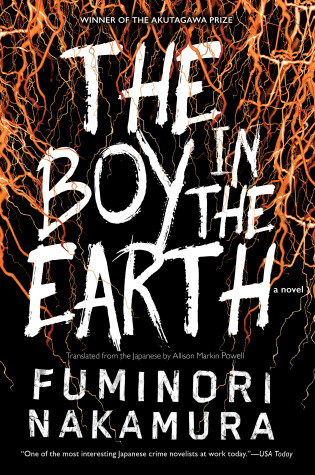 Cover of The Boy in the Earth