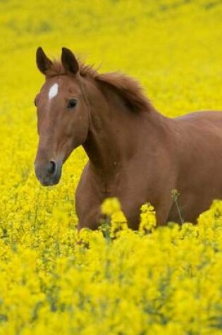 Cover of Jumbo Oversized Running Horse in the Colza Flower Field