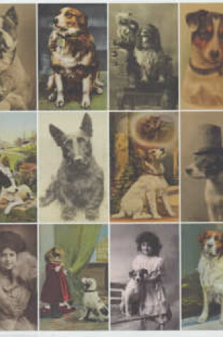 Cover of Postcard Dogs