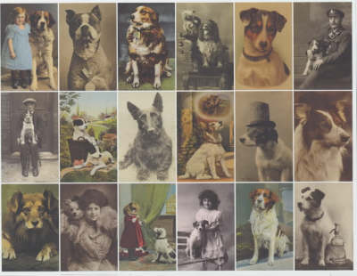 Book cover for Postcard Dogs