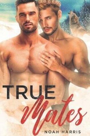 Cover of True Mates