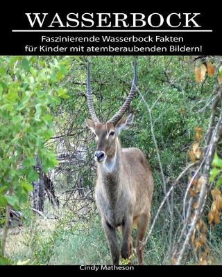 Book cover for Wasserbock