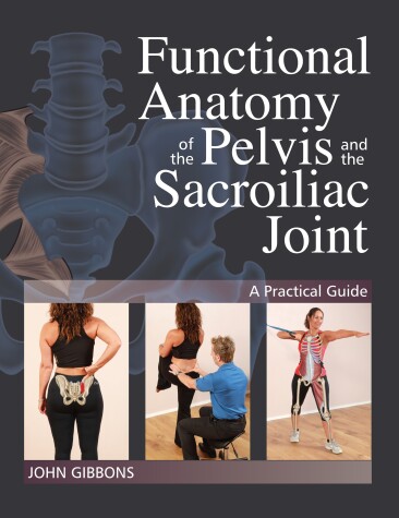 Book cover for Functional Anatomy of the Pelvis and the Sacroiliac Joint