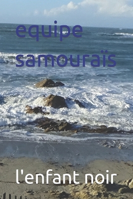 Book cover for equipe samouraïs