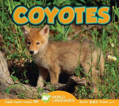 Cover of Coyotes