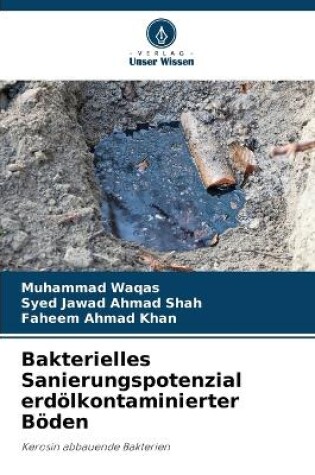 Cover of Bakterielles Sanierungspotenzial erdölkontaminierter Böden