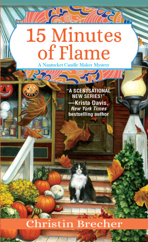 Book cover for 15 Minutes of Flame