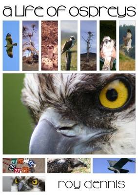 Book cover for A Life of Ospreys