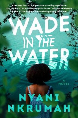 Cover of Wade in the Water