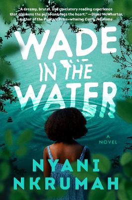 Book cover for Wade in the Water