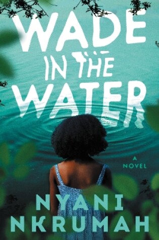 Cover of Wade in the Water