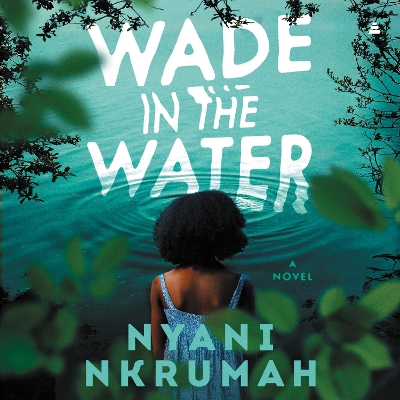 Book cover for Wade in the Water