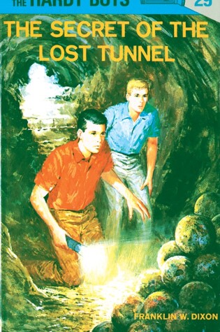 Cover of Hardy Boys 29: the Secret of the Lost Tunnel