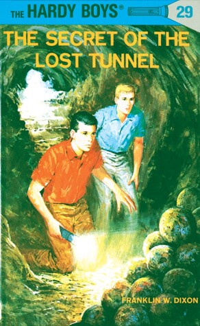 Book cover for Hardy Boys 29: the Secret of the Lost Tunnel