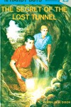 Book cover for Hardy Boys 29: the Secret of the Lost Tunnel