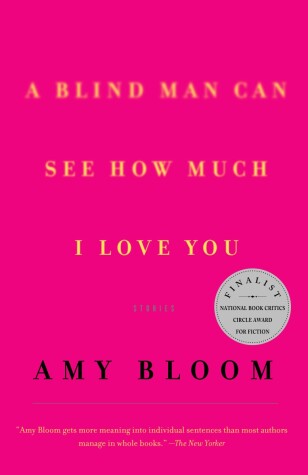 Book cover for A Blind Man Can See How Much I Love You