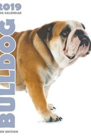 Cover of Bulldog 2019 Dog Calendar (UK Edition)