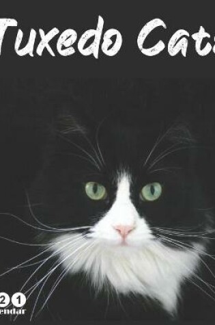 Cover of Tuxedo Cats 2021 Wall Calendar