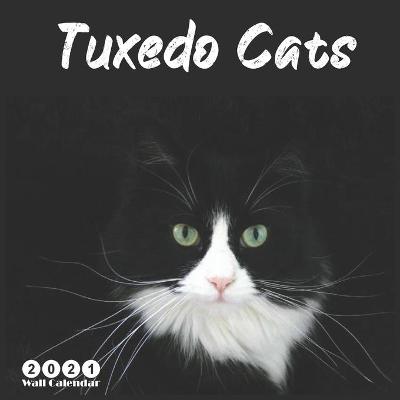 Book cover for Tuxedo Cats 2021 Wall Calendar