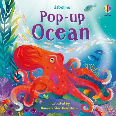 Book cover for Pop-up Ocean