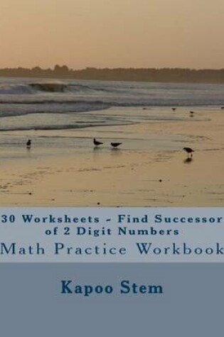 Cover of 30 Worksheets - Find Successor of 2 Digit Numbers