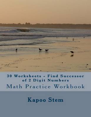 Book cover for 30 Worksheets - Find Successor of 2 Digit Numbers