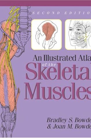 Cover of An Illustrated Atlas of the Skeletal Muscles
