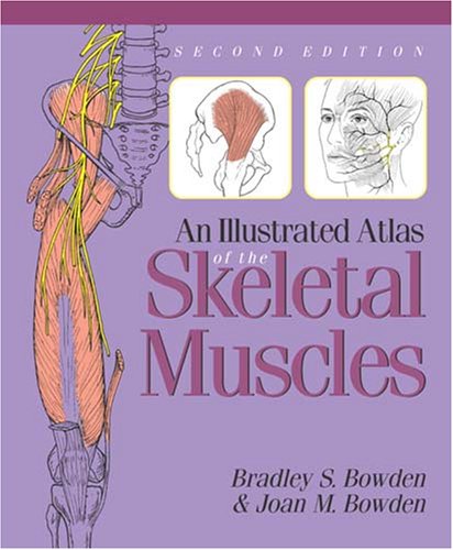 Book cover for An Illustrated Atlas of the Skeletal Muscles