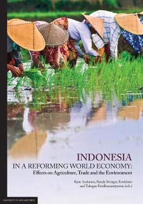 Book cover for Indonesia in a Reforming World Economy