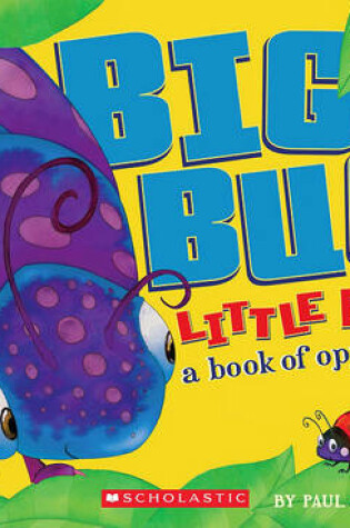 Cover of Big Bug, Little Bug