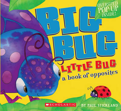 Book cover for Big Bug, Little Bug