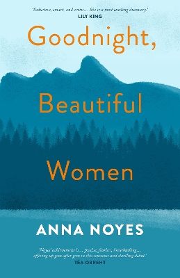 Book cover for Goodnight, Beautiful Women