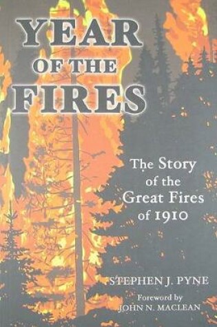 Cover of Year of the Fire