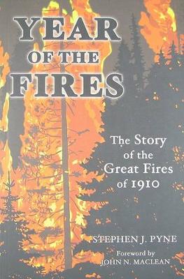 Book cover for Year of the Fire