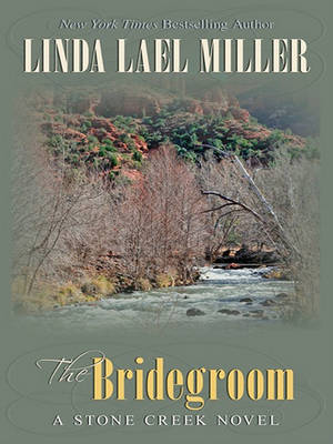 Book cover for The Bridegroom