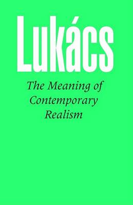 Book cover for Meaning of Contemporary Realism